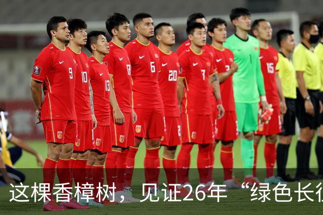 这棵香樟树，见证26年“绿色长征”
